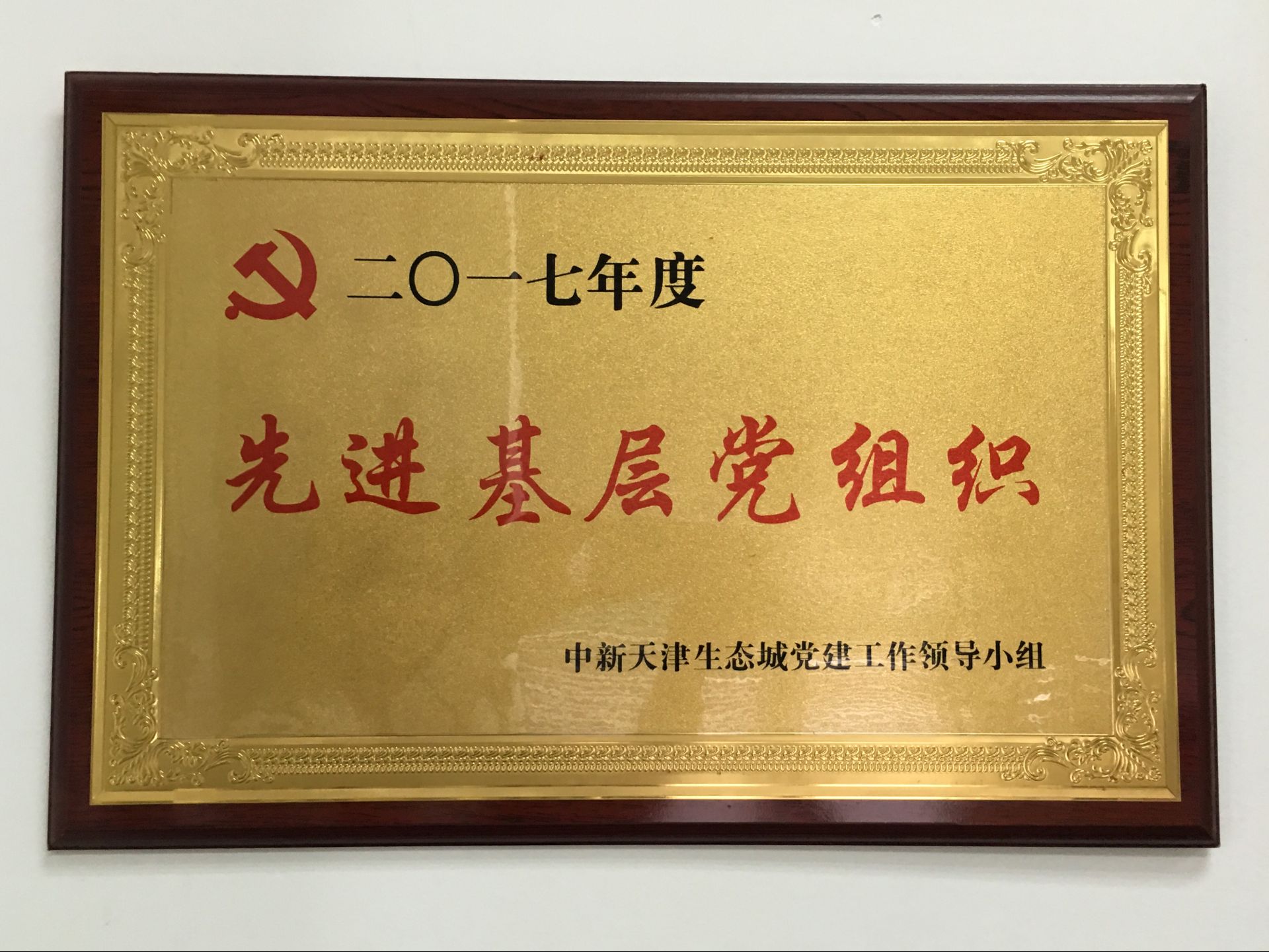 2017先进基层党组织.png
